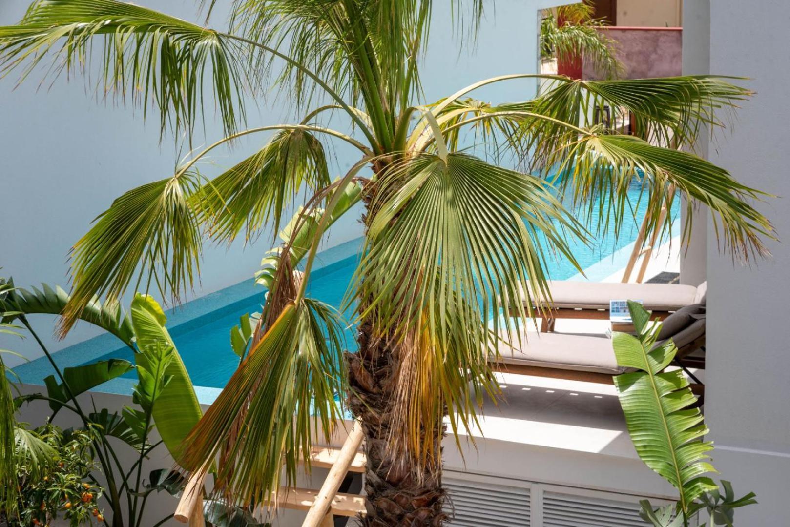 D Palm Premium Living - Kalathas, Chania Ханя Екстериор снимка